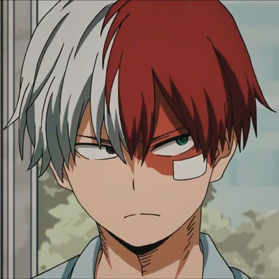 Shoto Todoroki